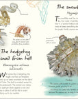 Anthology Shells