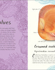 Anthology Shells