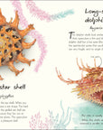 Anthology Shells