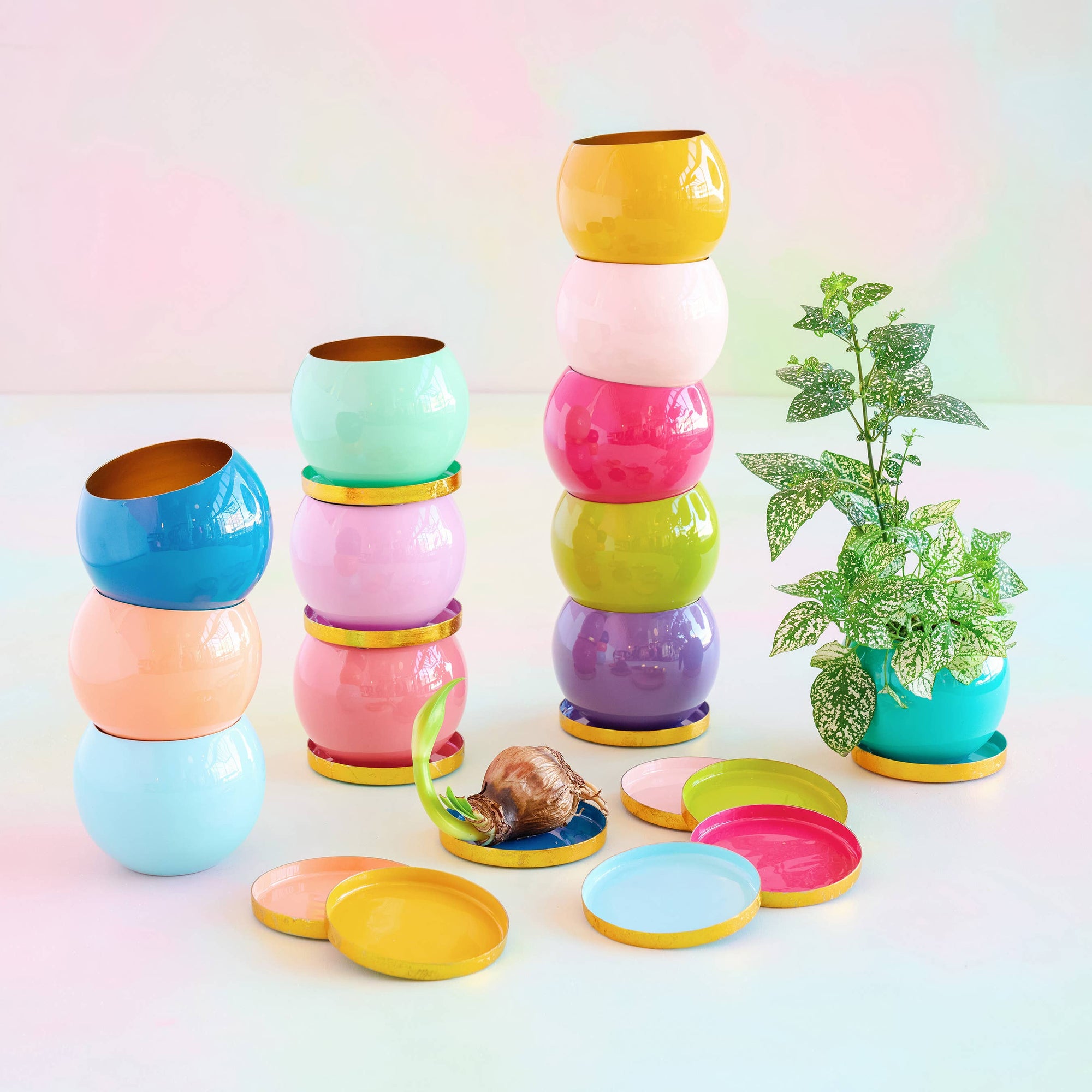 Bright Flower Pot with Saucer